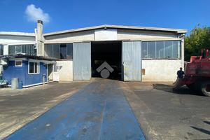 CAPANNONE A REGGIO NELL'EMILIA