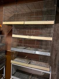 Gabbiette per uccelli