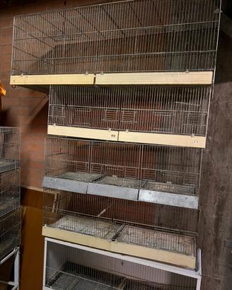 Gabbiette per uccelli