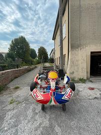 Birel 125 kf presa diretta