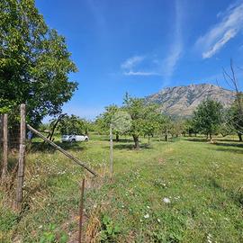 TER. AGRICOLO A MONTESARCHIO