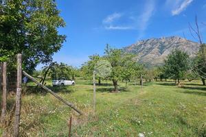 TER. AGRICOLO A MONTESARCHIO