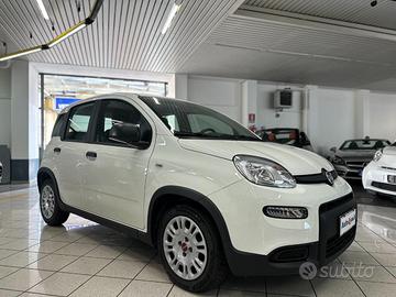 FIAT Panda PREZZO REALE 1.0 FireFly S&S Hybrid -