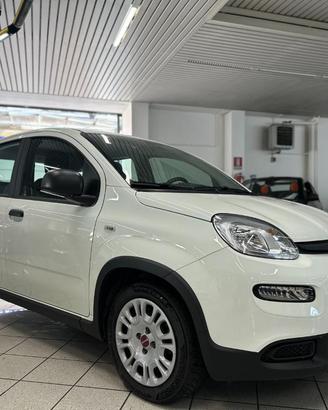 FIAT Panda PREZZO REALE 1.0 FireFly S&S Hybrid -