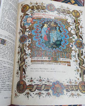 la sacra Bibbia