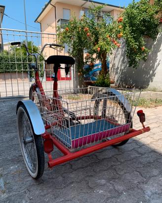 Bici a tre ruote