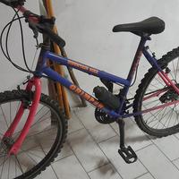 mtb bici