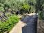 Immagine 11