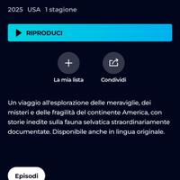 Scarpe calcio 40