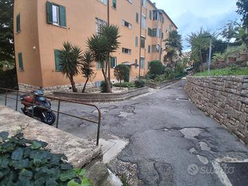 Camere per studentesse