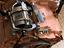 Immagine 5