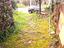 Immagine 26