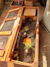 terrario per tartarughe di terra 