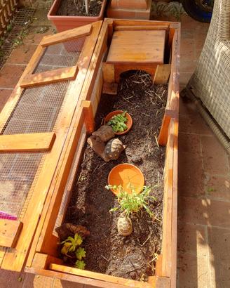 terrario per tartarughe di terra 