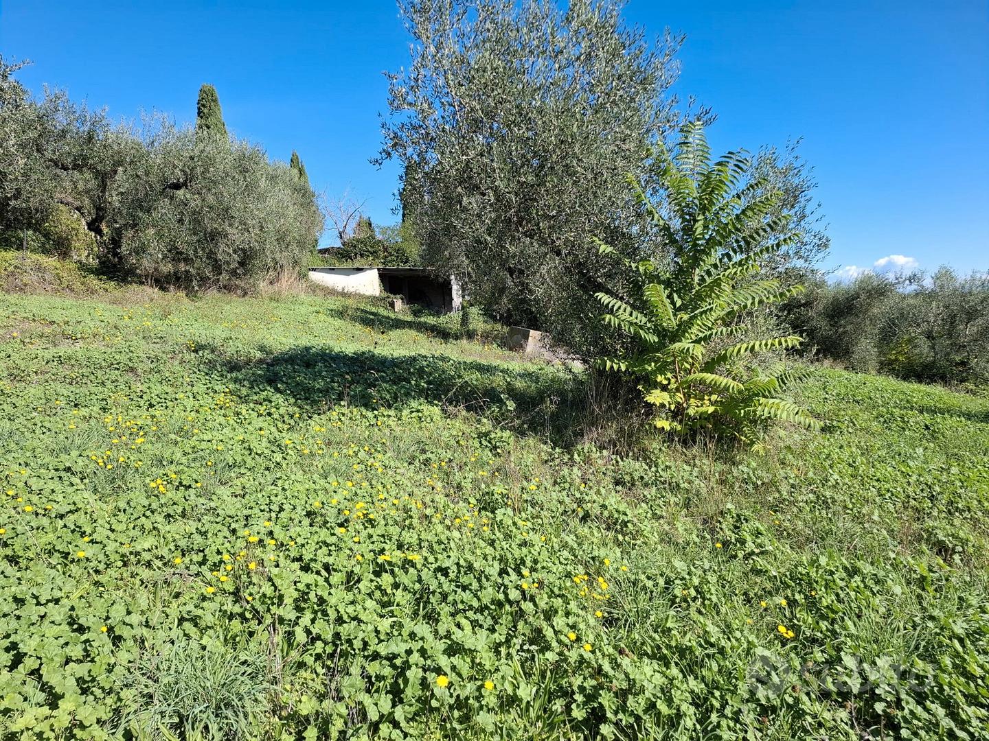 Terreno agricolo - Vista 2