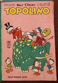 Topolino fascia 300-400-500