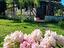 Immagine 9
