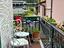 Immagine 8