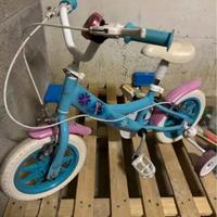 Bici frozen
