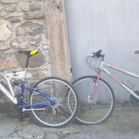 Due Mtb