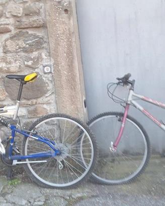 Due Mtb
