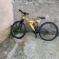 bicicletta