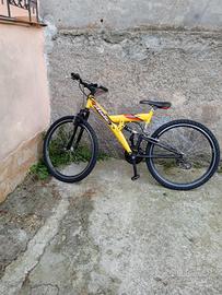 bicicletta