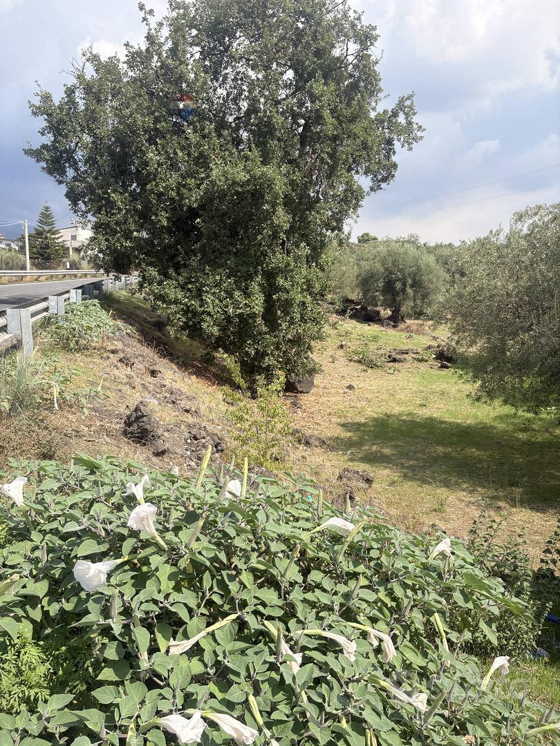 Terreno - Ragalna - Vista 4