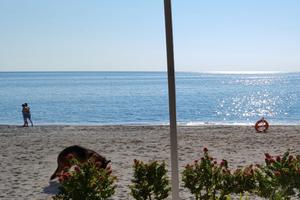 Alloggio borghetto s. spirito