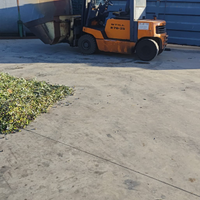 Still q25 diesel alzata libera