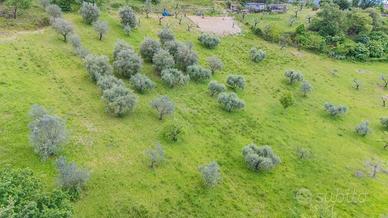 Terreno di 10845 m² a Salisano