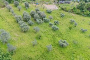 Terreno di 10845 m² a Salisano