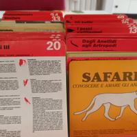 collezione animali 