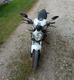 Ducati Monster 797