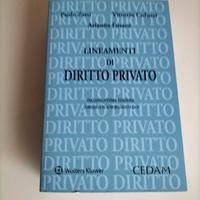 Zatti Colussi Lineamenti di diritto privato 