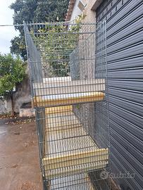 razziere domus molinari 