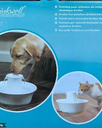 Fontanella per gatti e cani