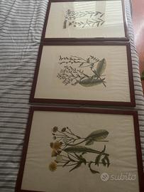 Stampe botaniche vintage bellissime