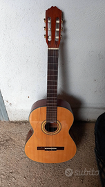 Chitarra Wisemann pro-3000