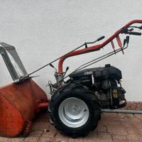 Carrarina 10 hp