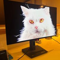 🚀Monitor Gaming OLED ASUS ROG 27” 240hz XG27AQDMG