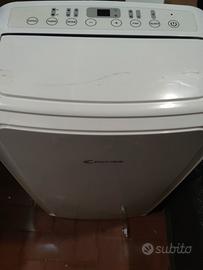 Condizionatore portatile pinguino