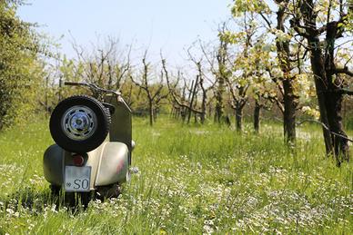 Piaggio Vespa 125 V14T Moto e Scooter In vendita a Reggio Emilia