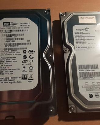 Coppia di hard Disk da 160GB