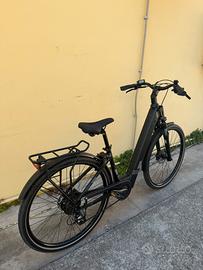 Bici  casadei 29”