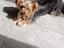 Immagine 1