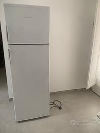 Frigorifero Sangiorgio doppia porta 270L