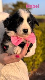 Mabel quasi due mesi