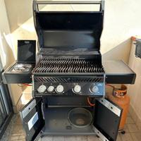Barbecue Napoleon Rogue R 525 SB