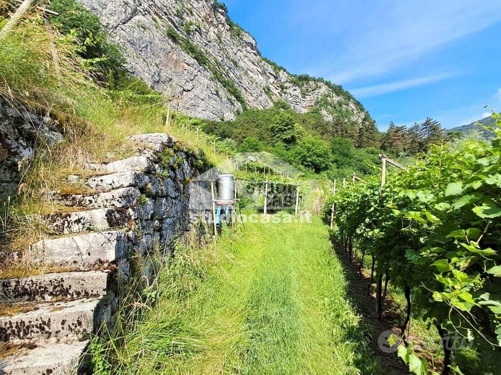 Terreno di 3500 m² a Mori - Vista 3